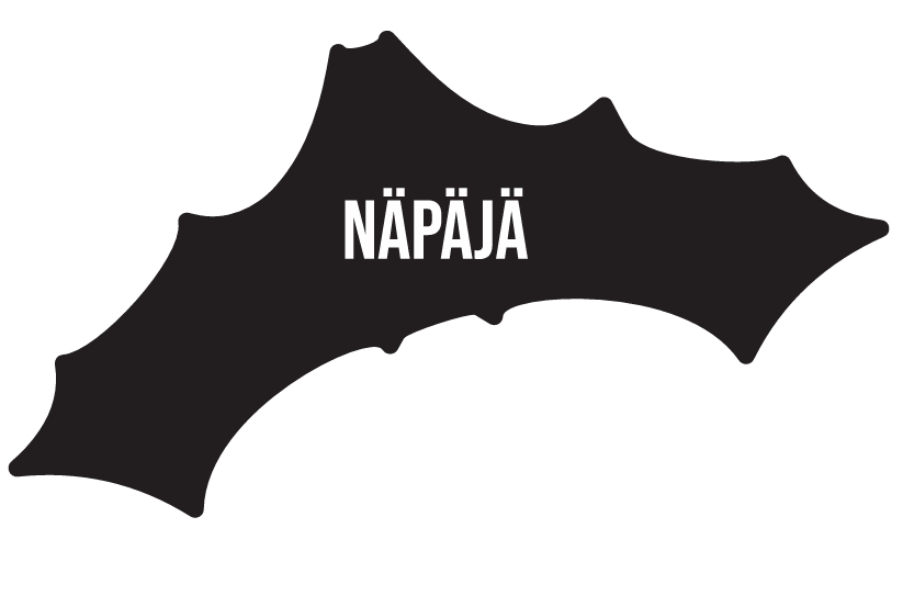 Logo of Team Näpäjä